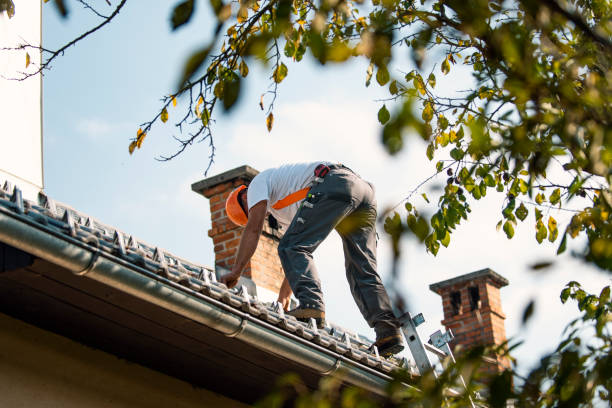 Best Roofing Contractor Near Me  in Franklinville, NC