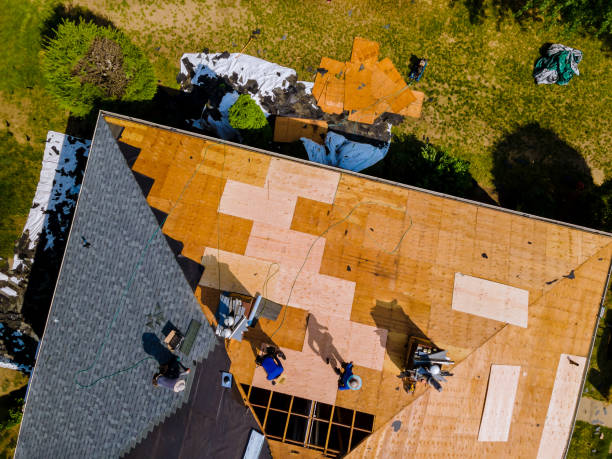 Best Metal Roofing Contractor  in Franklinville, NC