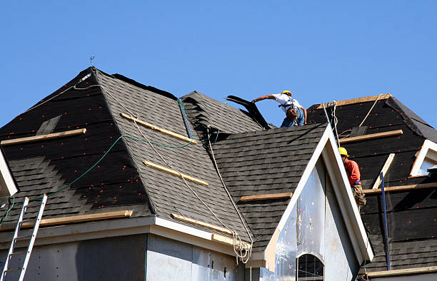 Best Storm Damage Roof Repair  in Franklinville, NC
